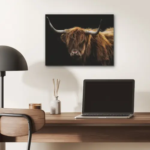 Schotse Hooglander - Horens - Zwart - Dieren - Natuur - Wild - Koe PET vilt klein -sfeer5