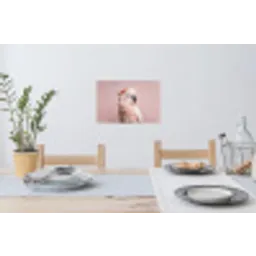 Kaketoe - Portret - Roze Muursticker klein -eettafel