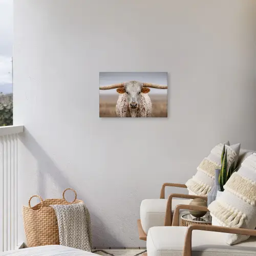 Longhorn - Grasveld - Dier Tuinposter op houten frame 2 cm dik klein -sfeer1