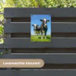 Koeien op een zonnige dag in de wei tuinposter los doek klein -sfeer3