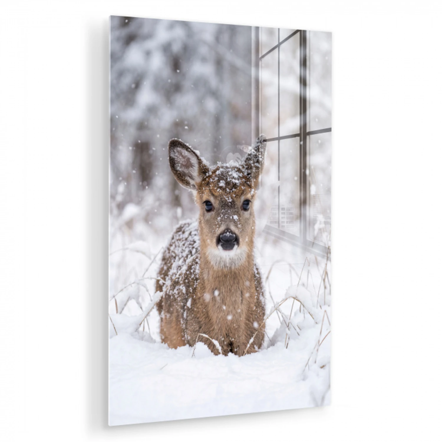 Hert - Sneeuw - Bos - Dieren - Vertederend plexiglas 5mm klein -zzzproduct_nieuw