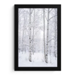 Berkenbomen - Sneeuw - Winter - Bos - Wit fotolijst zwart zonder passe partout klein -3d