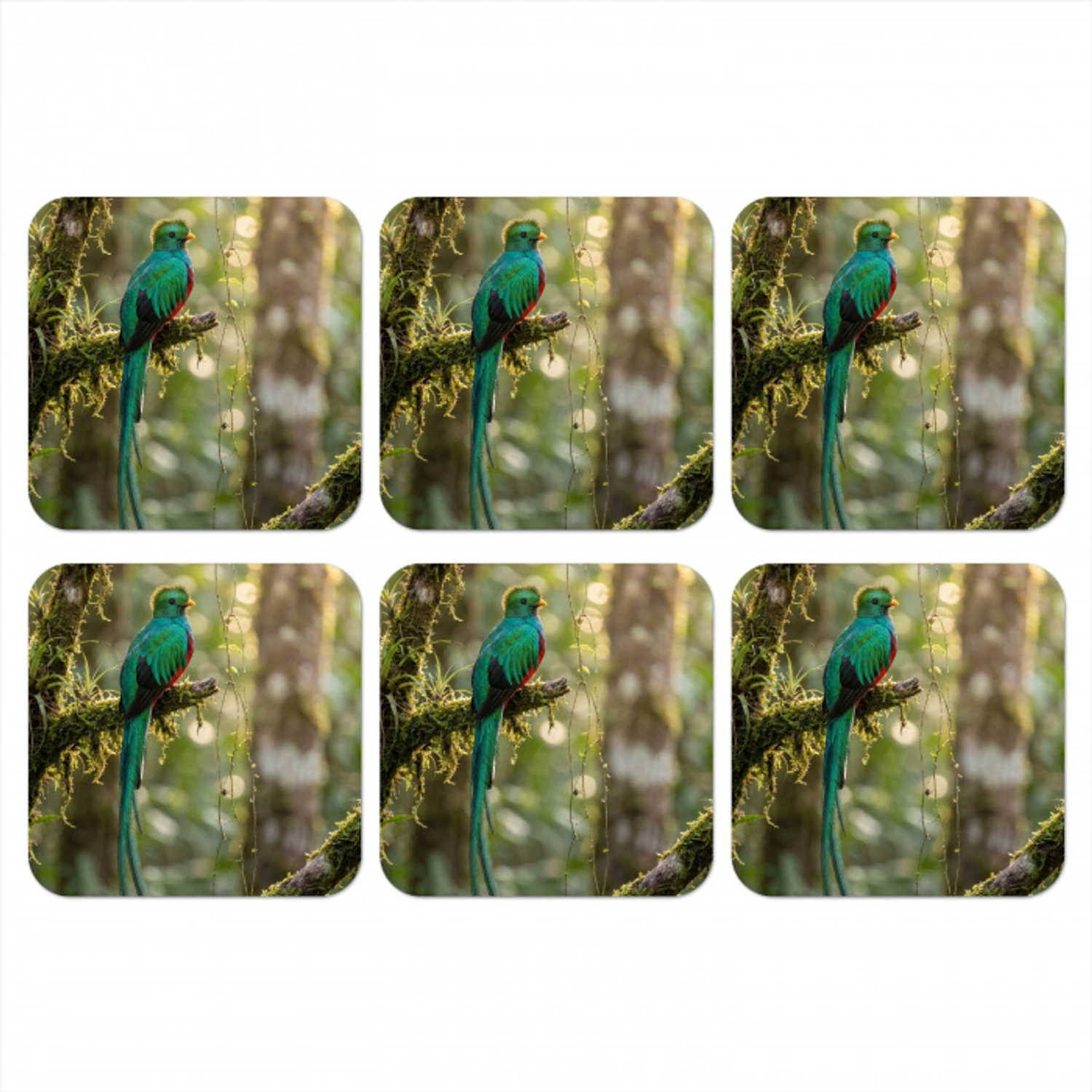 Quetzal - Jungle - Natuur - Groen onderzetter kurk middel -3d