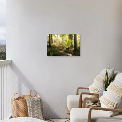 Bospad bij zonsopgang Tuinposter op houten frame 2 cm dik klein -sfeer1