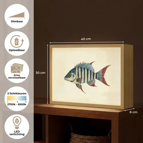 Gestreept - Donkerblauw - Rugvin - Vis Light Box met batterij (Wandlamp) middel -USP_websiteoverzichtNL