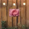 Roze - Roos - Romantisch tuinposter los doek klein -sfeer1