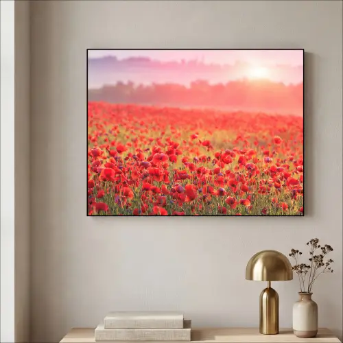 Bloemen - Klaprozen - Rood - Bloemenveld Textielframe - compleet frame klein -sfeer2