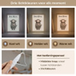 Aap - Roze bloemen - Speels Light Box met kabel (Kinderlampje) klein -USP_lichtkleurNL