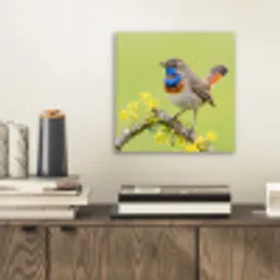 Vogel - Tak - Natuur - Kleurrijk aluminium wit klein -sfeer1