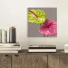 Planten - Anthurium - Groen - Roze aluminium wit klein -sfeer1