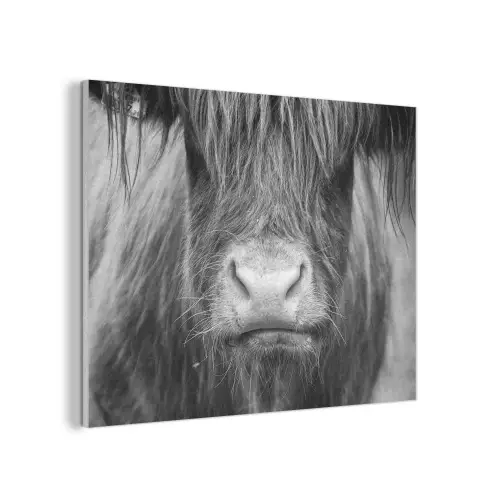 Schotse hooglander - Koe - Zwart - Wit - Dieren PET vilt klein -3d