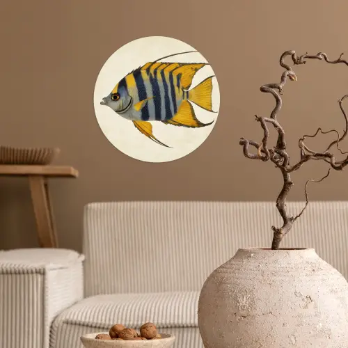 Vis - Sierlijk - Vinnen - Illustratie Wandcirkel behangsticker klein -sfeer1