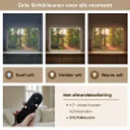 Bos - Pad - Bomen - Groen - Zon - Natuur Light Box met batterij (Wandlamp) middel -USP_lichtkleurNL