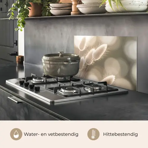 Hazestaartgras - Wit - Zonlicht keuken achterwand spatscherm klein -usp_NL
