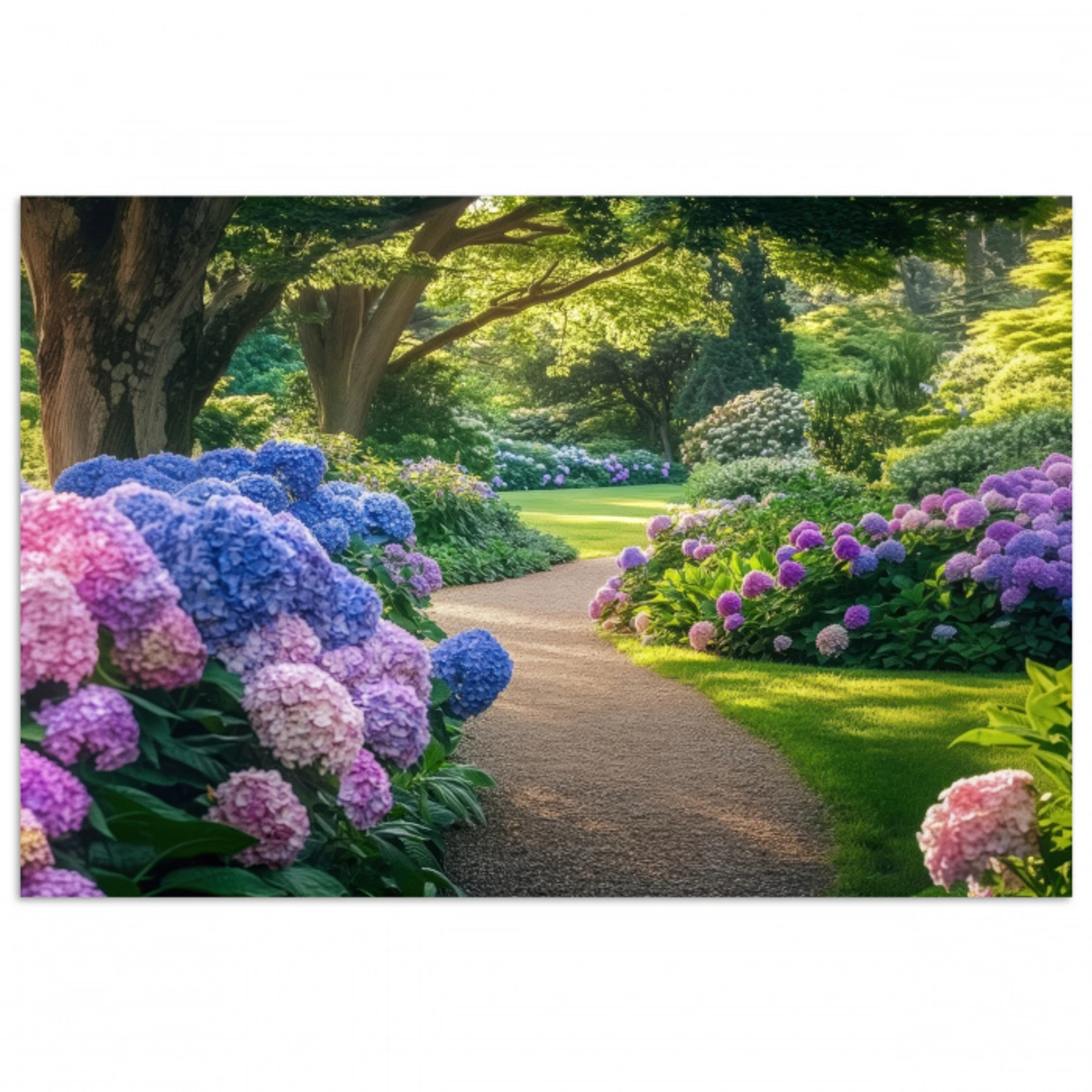 Hortensia- Park - Pad poster papier klein -3d