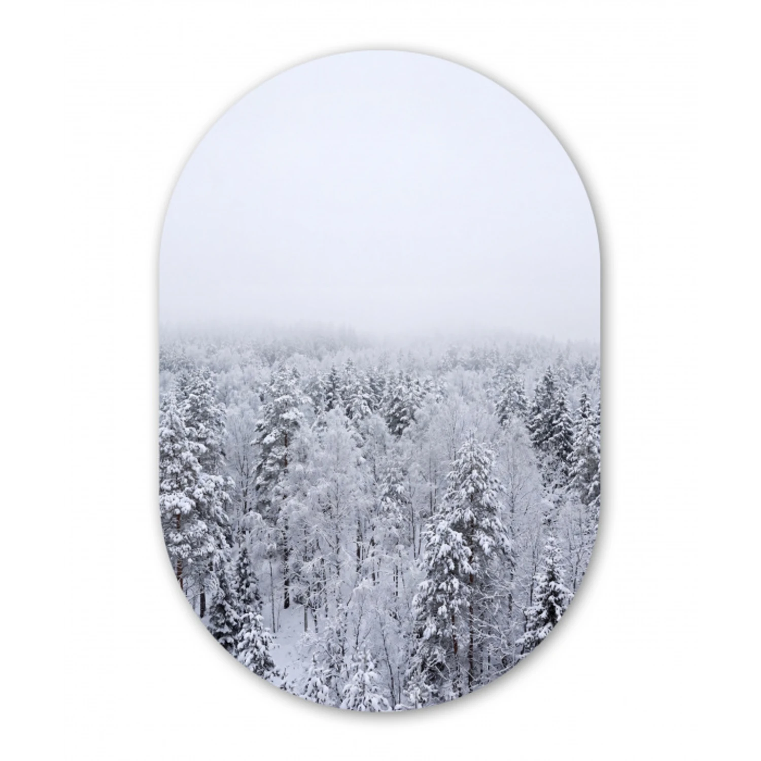 Bos - Sneeuw - Winter - Natuur - Wit Wandcirkel Ovaal Forex klein -3d