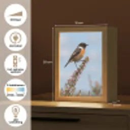 Roodborsttapuit - Heide - Paars - Natuur - Sfeervol Light Box met kabel (Kinderlampje) klein -USP_NL