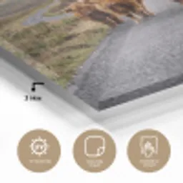 Schotse Hooglanders - Weg - Landschap - Kudde plexiglas 5mm klein -sfeer2