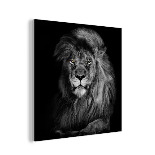 Leeuw - Ogen - Oranje - Zwart wit - Dieren - Portret aluminium wit klein -3d