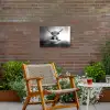 Schotse Hooglander - Spaghetti - Dieren - Zwart wit Tuinposter op houten frame 2 cm dik klein -sfeer3