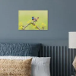 Vogel - Tak - Natuur - Kleurrijk poster papier klein -sfeer2