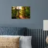 Bos - Pad - Bomen - Groen - Zon - Natuur poster papier klein -sfeer2