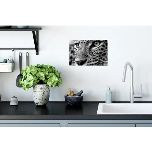 Luipaard - Zwart - Wit - Oog Muursticker klein -keuken