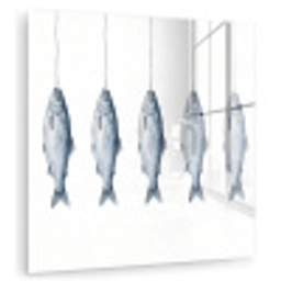 Vissen - Illustratie - Delfts - Blauw plexiglas 5mm klein -zzzproduct_nieuw