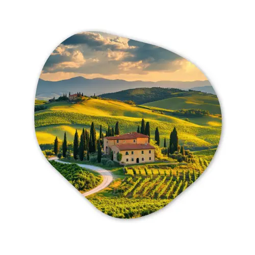 Toscane - Landschap - Wijngaarden Wandcirkel Organisch Forex 3mm klein -3d