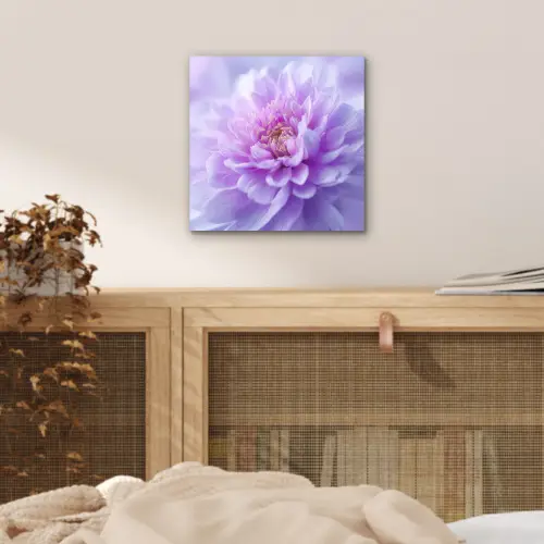 Paars - Dahlia - Dromerig aluminium wit klein -sfeer3