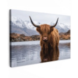 Schotse hooglander - Bruin - Water Tuinposter op houten frame 2 cm dik klein -3d