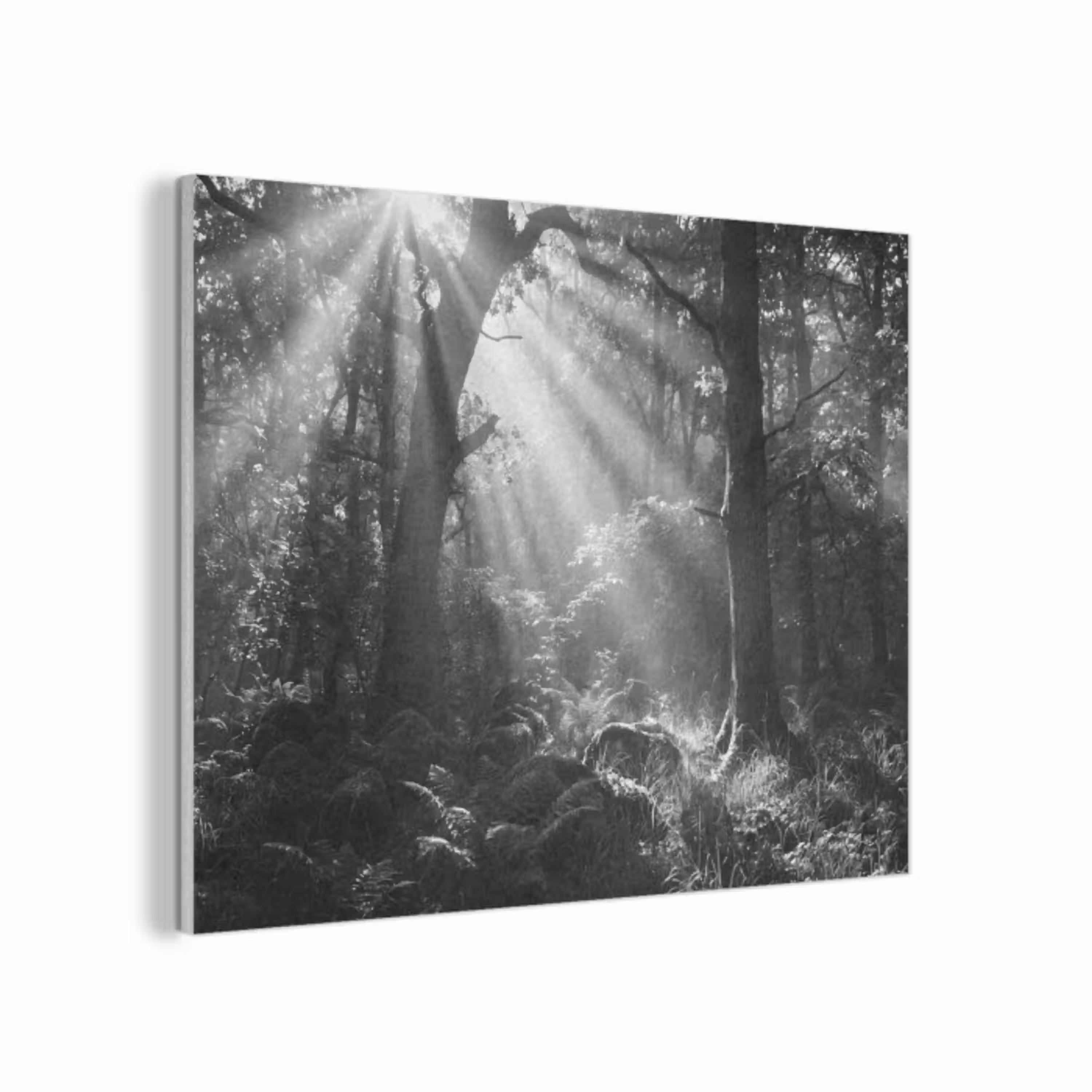 Bos - Lichtstralen - Natuur - Zwart-wit PET vilt klein -3d