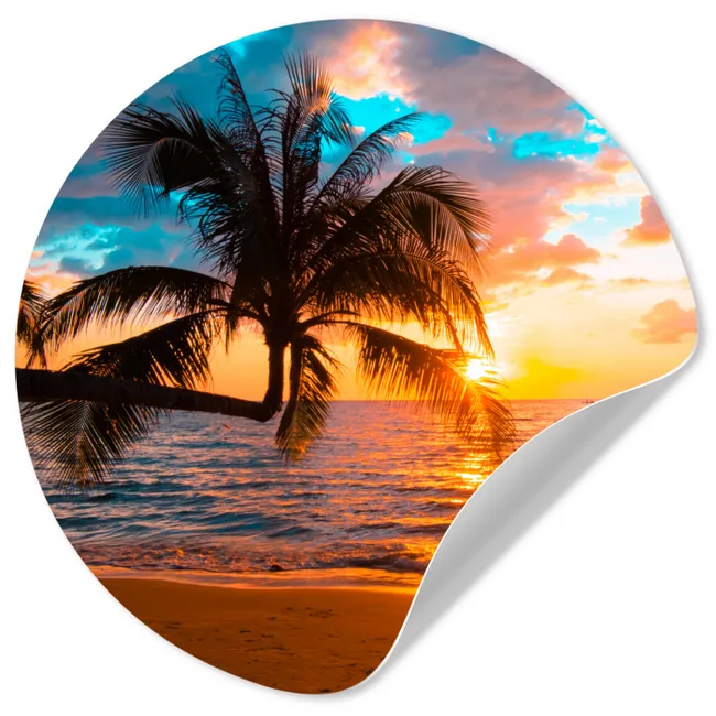 Palm - Zonsondergang - Horizon - Strand - Zee - Tropisch Wandcirkel behangsticker klein -3d