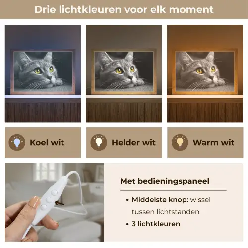 Kat - Zwart - Wit - Dieren - Natuur Light Box met kabel (Tafellamp) klein -USP_lichtkleurNL