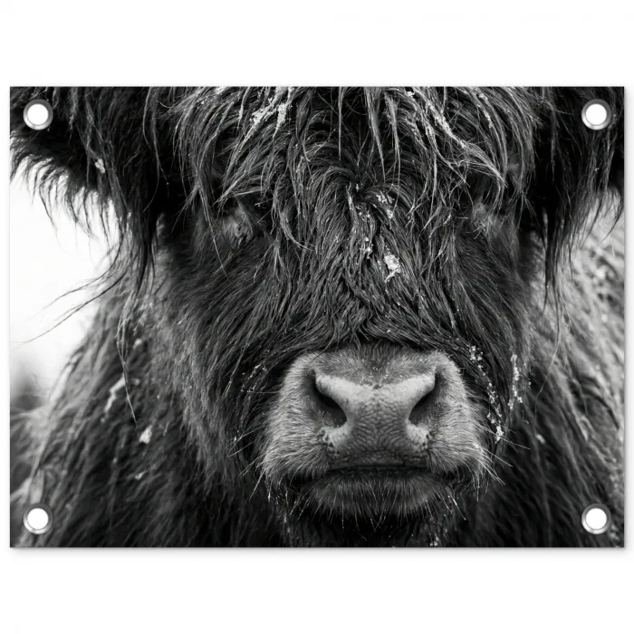 Schotse hooglander - Zwart - Wit - Sneeuwvlokken tuinposter los doek klein -3d
