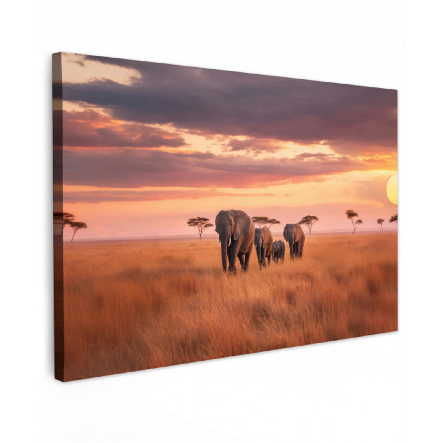 Groep olifanten - Open vlakte - Zon canvas 2cm klein -z3d