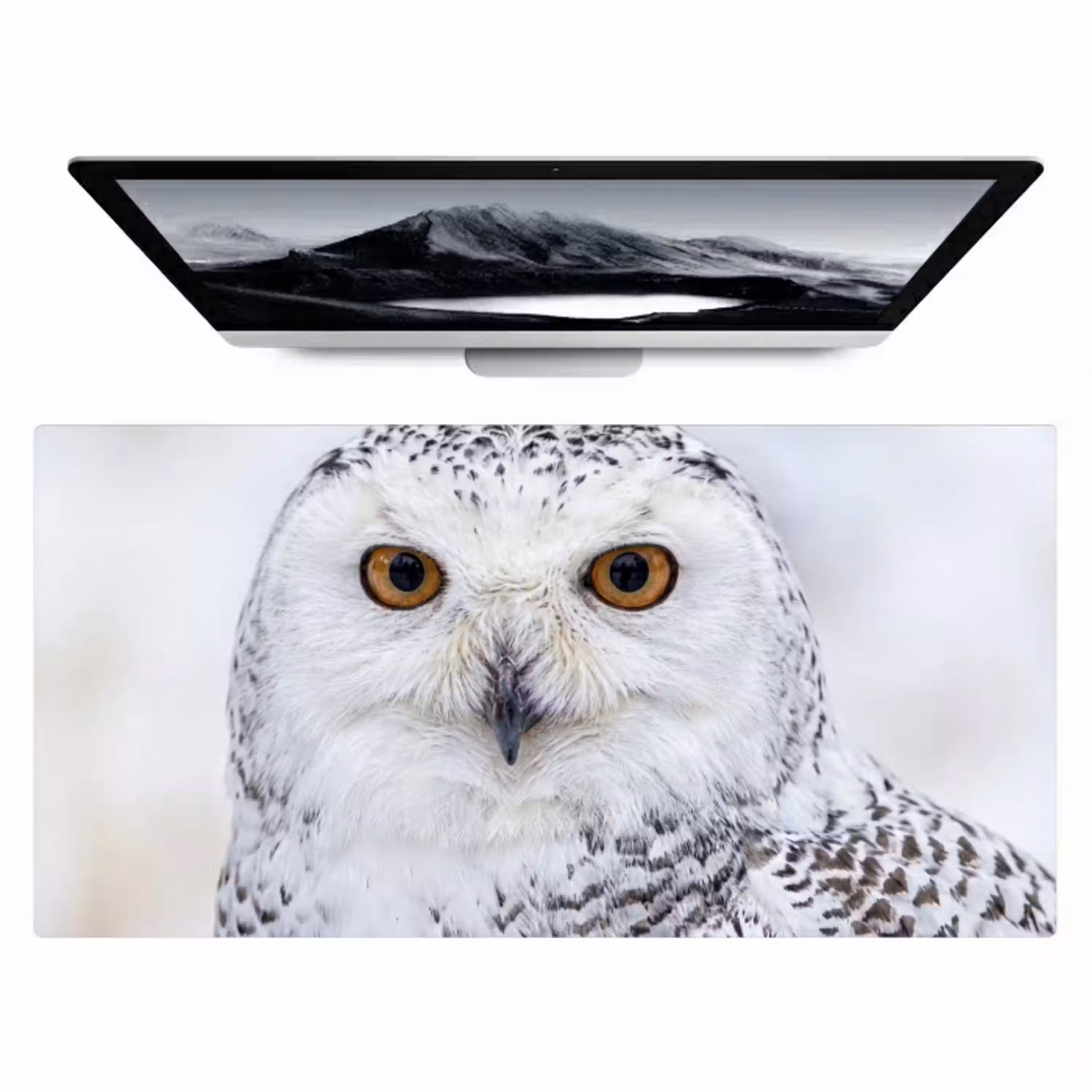 Sneeuwuil - Oog - Wildlife - Wit Muismat XXL klein -zzz3d