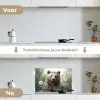 Bruine beer - Wilde dieren - Bloemen - Planten keuken achterwand spatscherm klein -voor_na_NL
