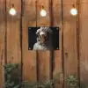 Tijger - Kokskleding - Bruin tuinposter los doek klein -sfeer1