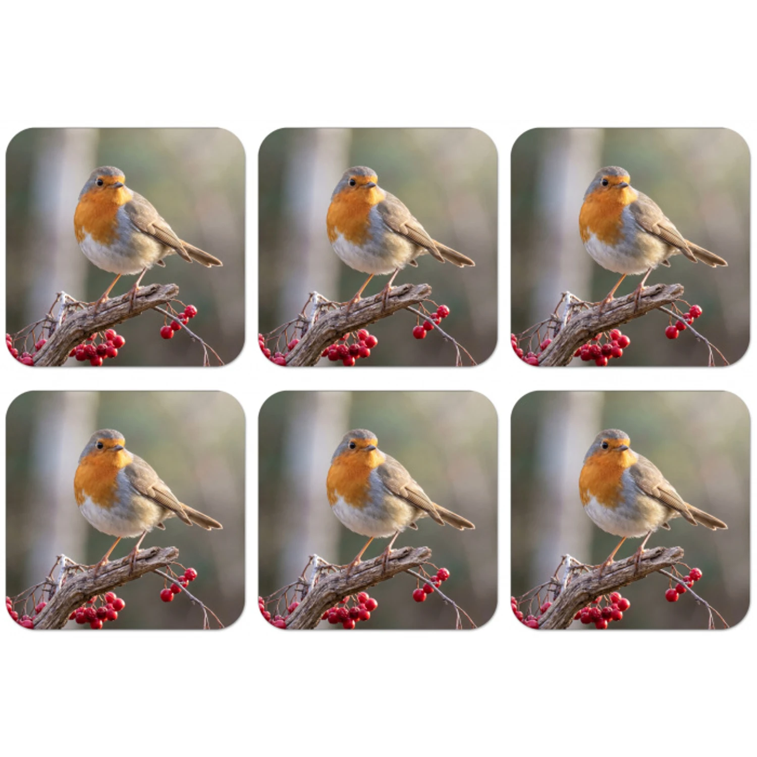 Roodborst - Tak - Bessen - Natuur onderzetter kurk middel -zkaufland3dotto