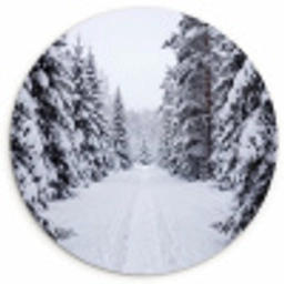 Bos - Winter - Sneeuw - Pad - Natuur Wandcirkel kunststof plaat 5mm dik klein -3d