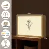 Zwart - Narcis - Illustratie Light Box met batterij (Wandlamp) middel -USP_websiteoverzichtNL