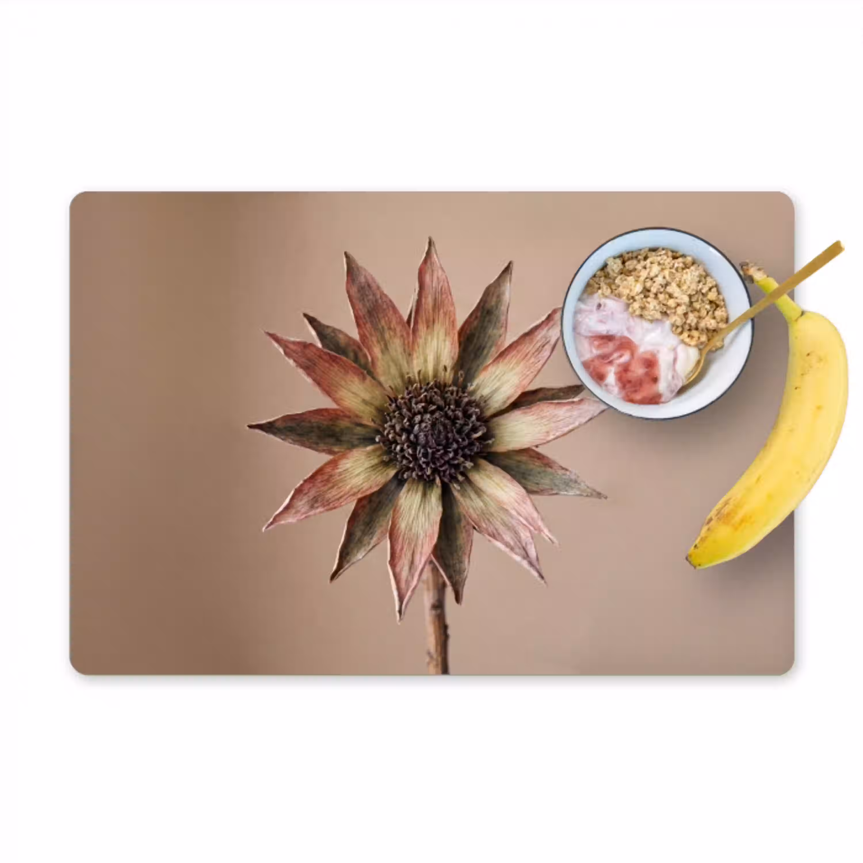 Droogbloem - Protea - Vintage - Beige - Rustiek Placemat vinyl groot -zzzproduct_Kitchenyeah-website