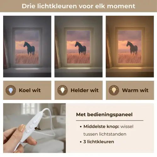 Paard - Wolken - Open veld Light Box met kabel (Tafellamp) klein -USP_lichtkleurNL