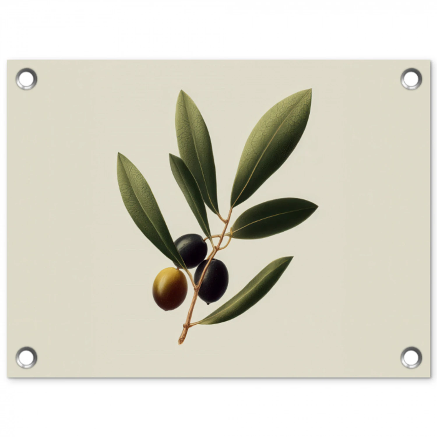 Olijftak - Donkergroen - Olijven tuinposter los doek klein -3d