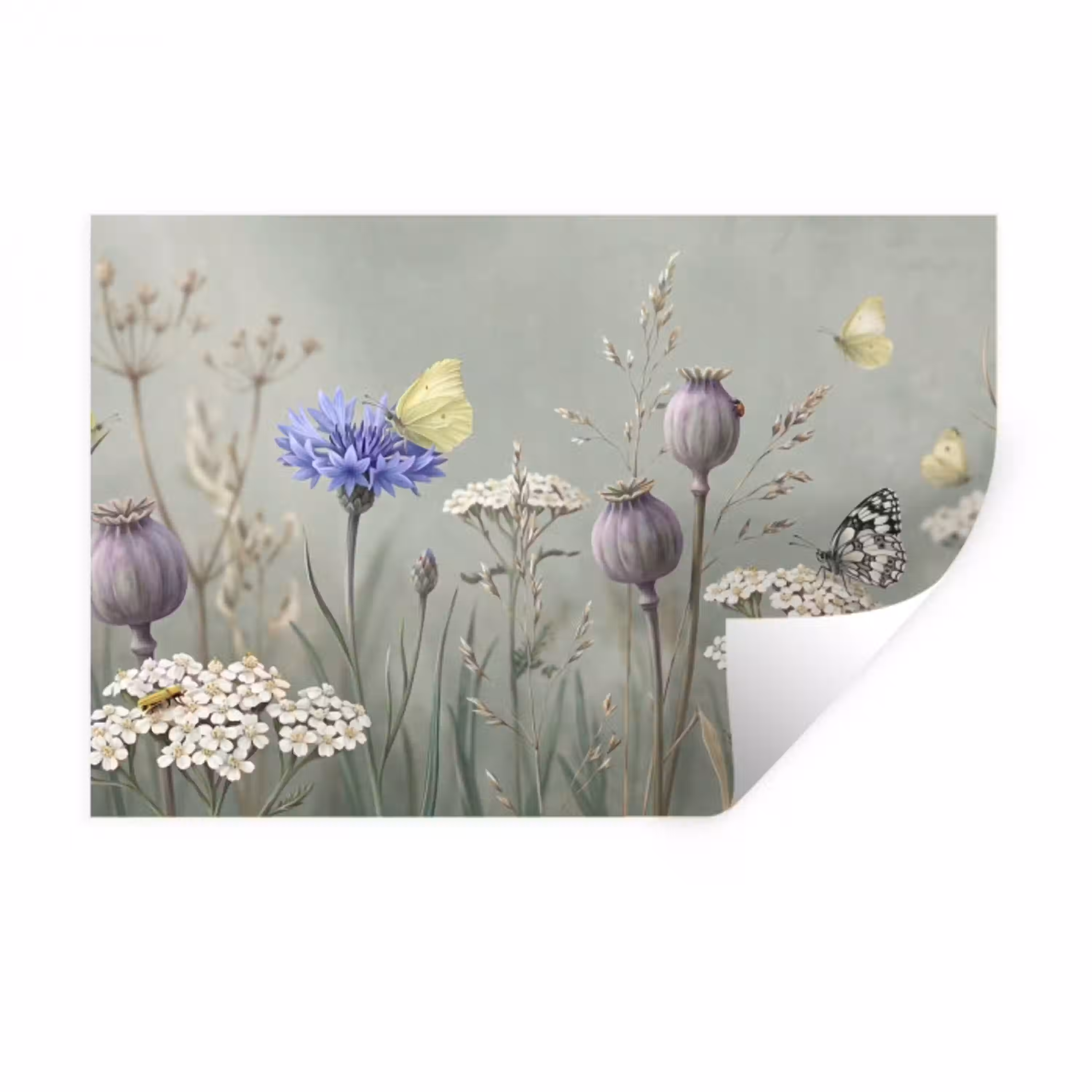Vlinders - Wildbloemen - Illustratie - Kleurrijk Muursticker klein -3d