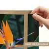 Paradijsvogel - Bloem - Exotisch Light Box met batterij (Wandlamp) middel -USP_websiteprintNL