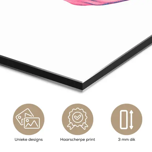 Schedel - Grafisch - Roze - Verdeeld aluminium wit klein -closeup_NL
