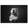 Buldog - Hond - Glas poster papier klein -3d