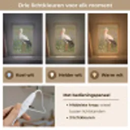 Ooienvaar - Bloemen - Weide - Kleurrijk Light Box met kabel (Kinderlampje) klein -USP_lichtkleurNL
